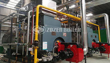 ZOZEN boiler